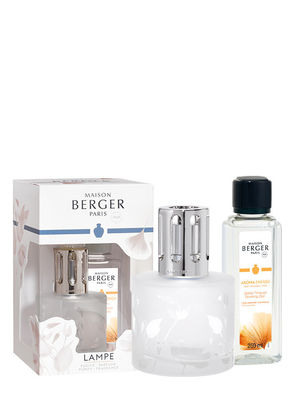 Maison Berger - Diffuseur de Parfum de voiture - Aroma Energy | bol